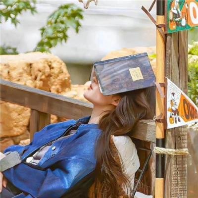 忠奸老实人粤语